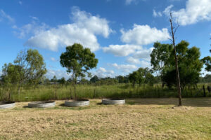 128 Coates Street, Laidley, QLD 4341